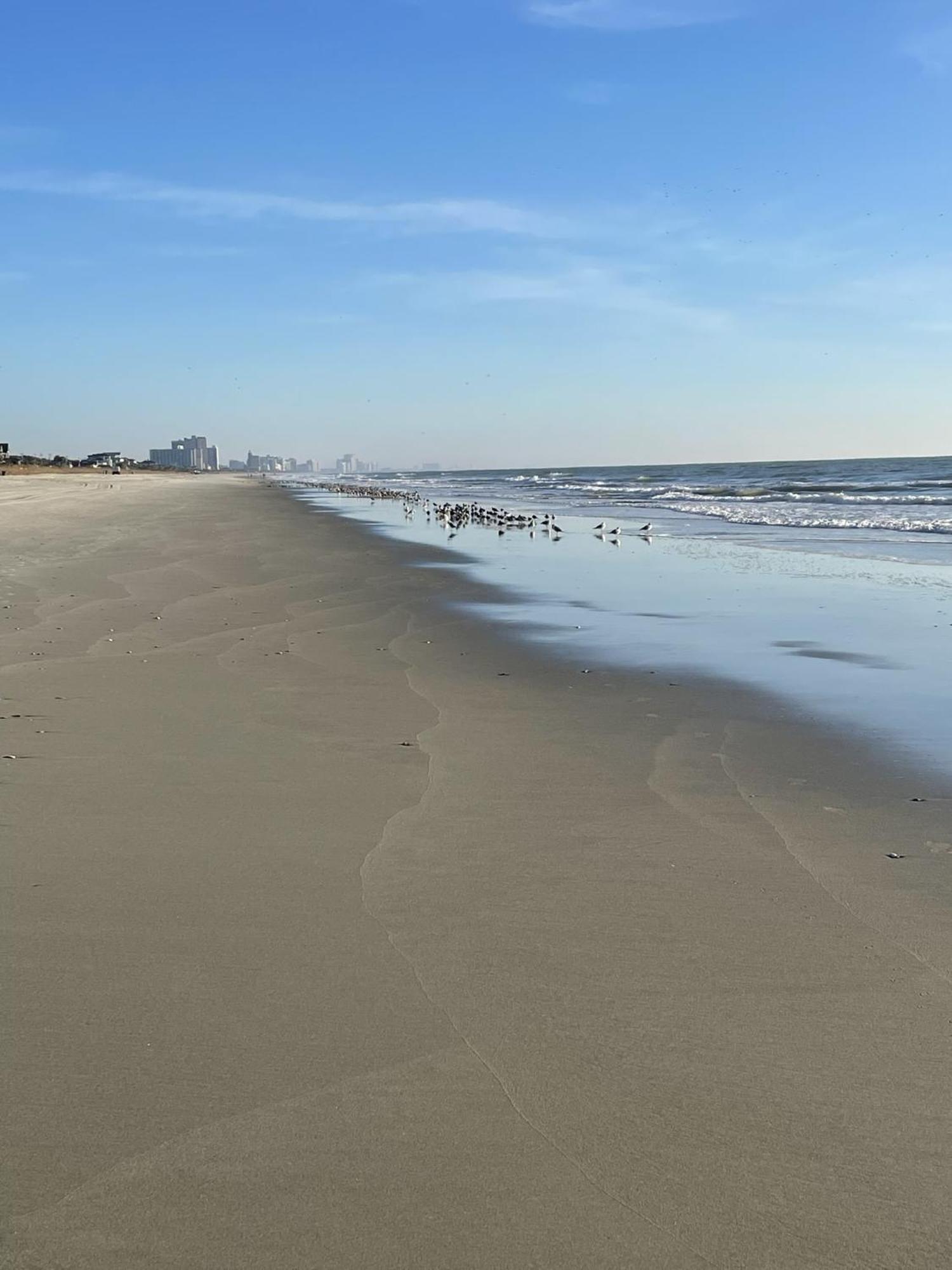 Blue Palmetto Vacation Rentals Myrtle Beach Ngoại thất bức ảnh