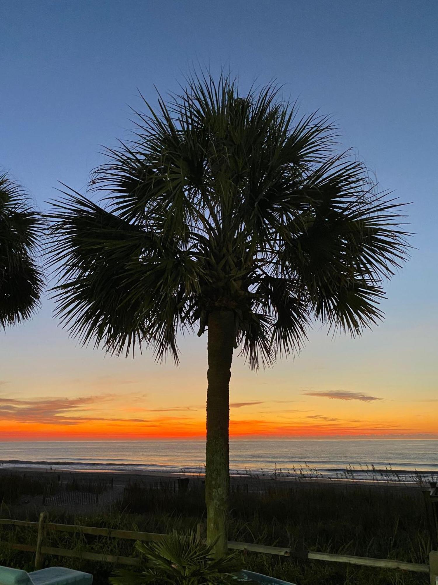 Blue Palmetto Vacation Rentals Myrtle Beach Ngoại thất bức ảnh